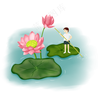 荷花荷叶植物池水撑船