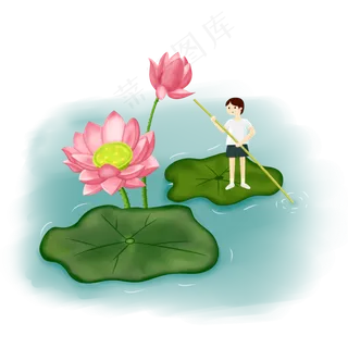 荷花荷叶植物池水撑船