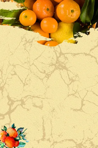 小清新新鲜蜜桔水果