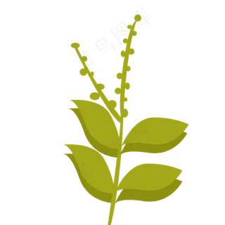 植物绿色春季植物