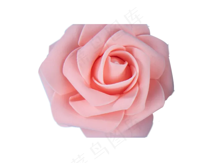 一朵玫瑰(869X663(DPI:300))psd模版下载