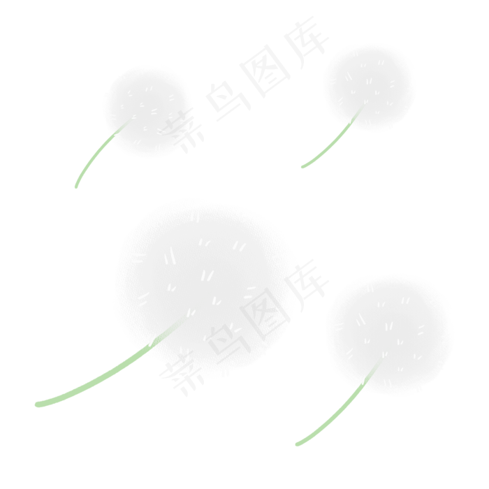 飞舞的白色蒲公英(2000X2000(DPI:300))psd模版下载