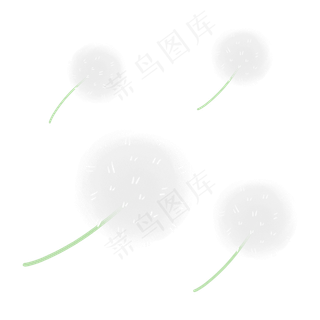 飞舞的白色蒲公英