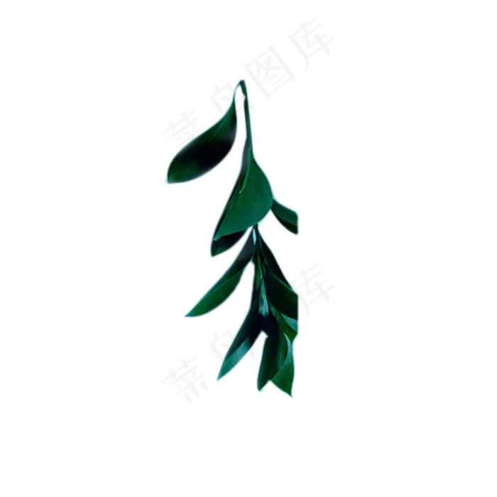植物绿色叶子下载(2000X2000(DPI:300))psd模版下载