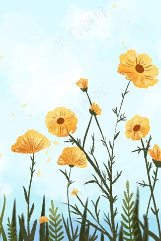 盛开在蓝天下的黄色花朵