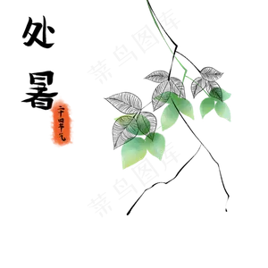 节气处暑植物