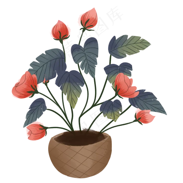 盆栽蔷薇花朵品红(2000X2000(DPI:300))psd模版下载