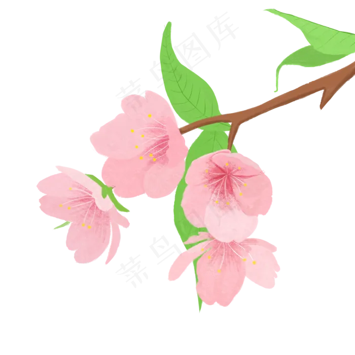 春暖花开樱花(2000X2000(DPI:300))psd模版下载