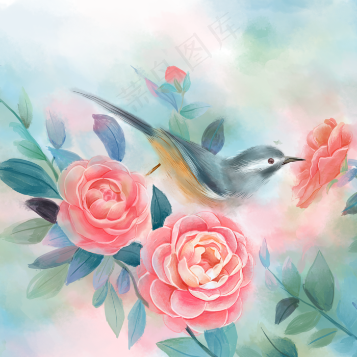 水彩花鸟十二月花信之十一月山茶,免抠元素