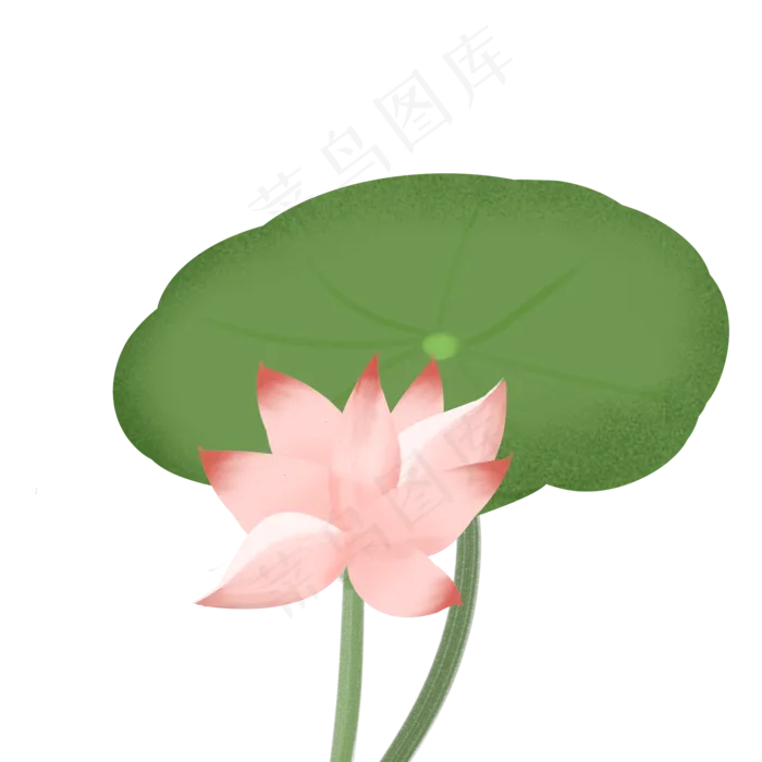 清凉夏日荷花(2000X2000(DPI:300))psd模版下载