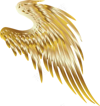 金属质感翅膀高清素材,免抠元素