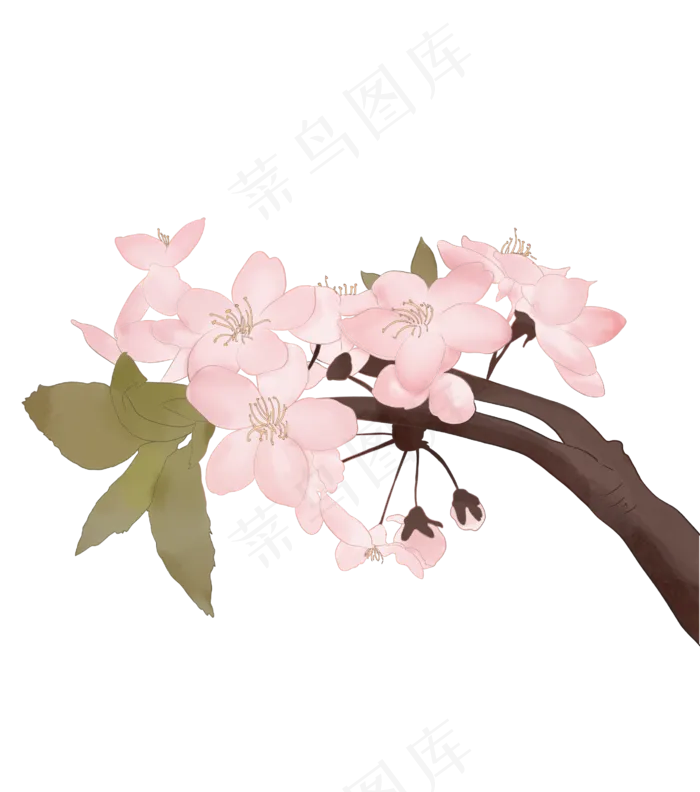 古风花樱花(2755X3119(DPI:300))psd模版下载