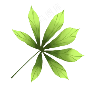 黄绿色植物树叶插图