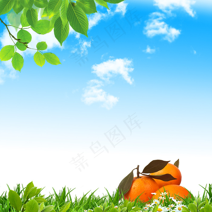 草地飞溅果汁饮料PSD分层主图背景素材