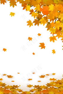 手绘秋分枫叶主题边框,免抠元素