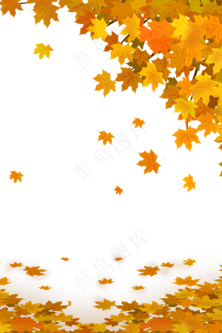 手绘秋分枫叶主题边框,免抠元素