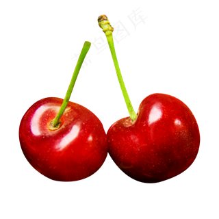 水果樱桃