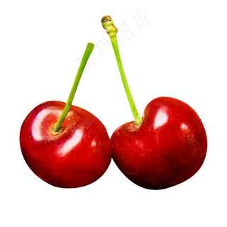水果樱桃