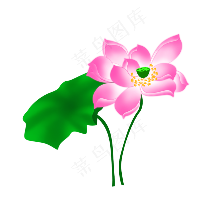 手绘卡通粉色荷花(2000X2000(DPI:300))psd模版下载