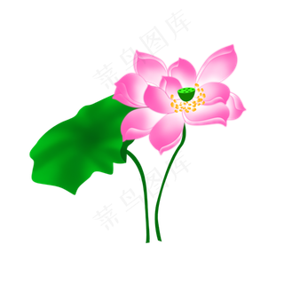 手绘卡通粉色荷花