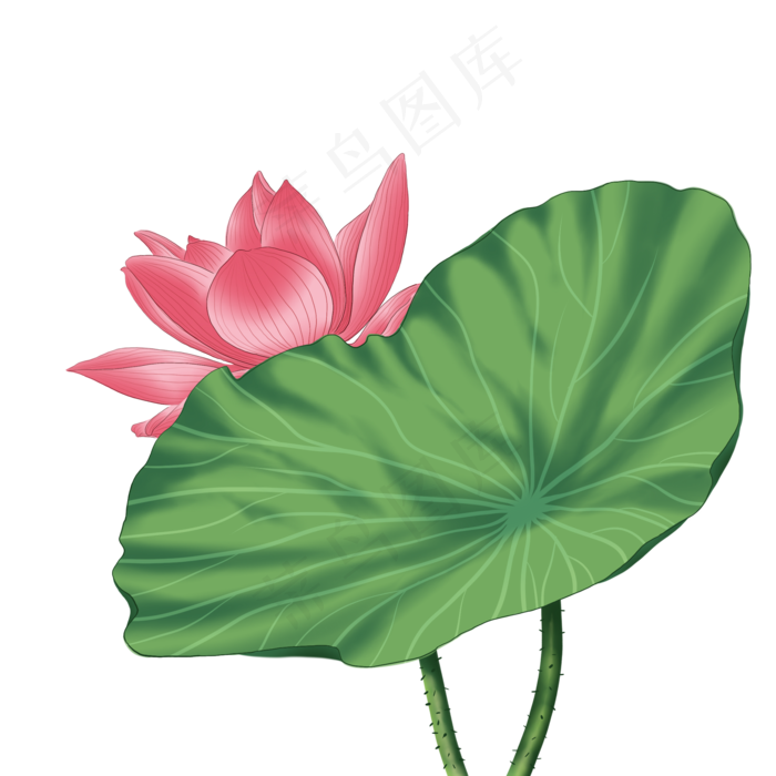 手绘花荷花元素分层国画中国风花(2000X2000(DPI:300))psd模版下载