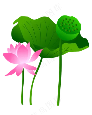 卡通粉色莲花免扣