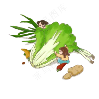 蔬菜水果商业手绘元素之大白菜