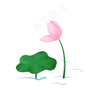 粉色荷花花朵插图