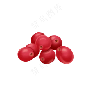 蔓越莓手绘水果插画