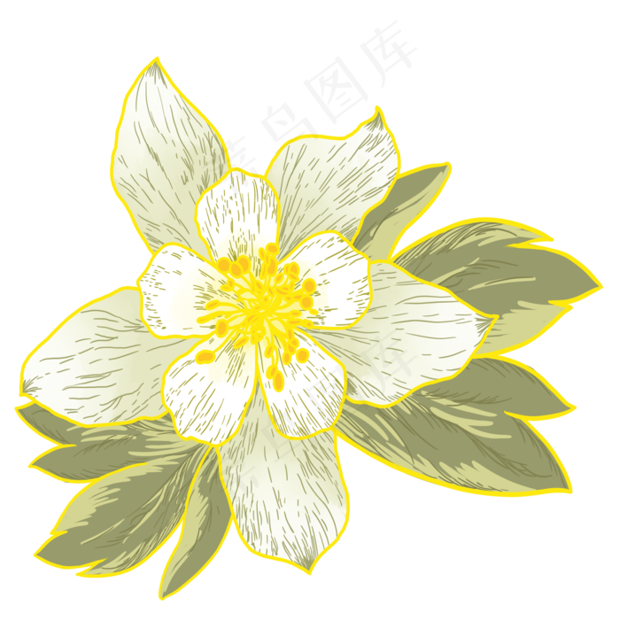 手绘卡通白色兰花元素(2000X2000(DPI:300))psd模版下载
