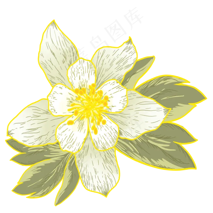 手绘卡通白色兰花元素(2000X2000(DPI:300))psd模版下载