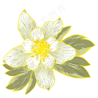 手绘卡通白色兰花元素