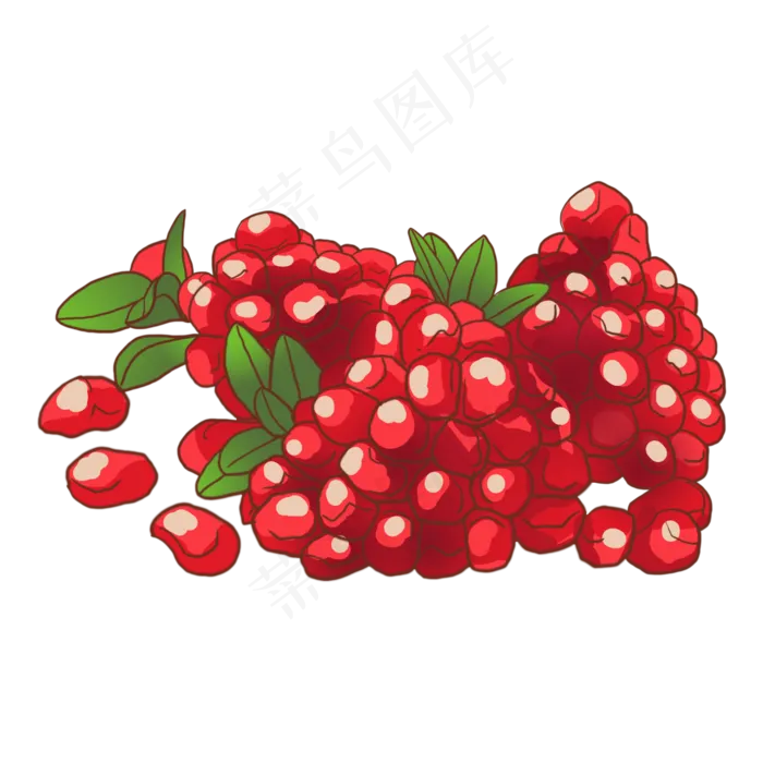 石榴红石榴水果食物(2000X2000(DPI:300))psd模版下载