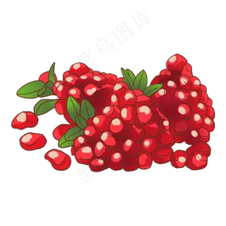 石榴红石榴水果食物