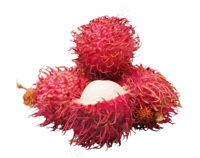 新鲜水果红毛丹