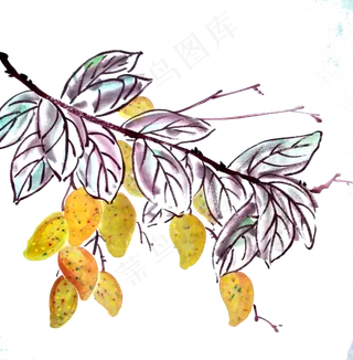 芒果水墨国画树枝鲜果夏天水果P