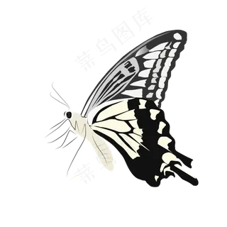 矢量手绘水墨蝴蝶,免抠元素