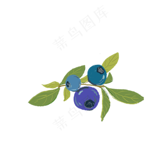 创意卡通蓝莓插图