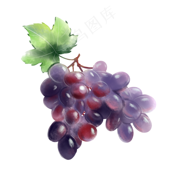 水彩水果葡萄