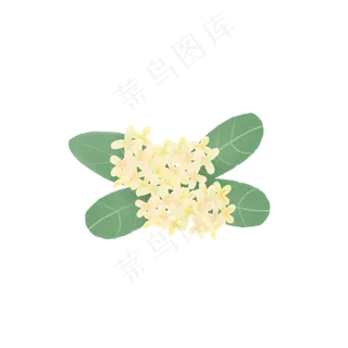 手绘花卉桂花和叶子植物素材