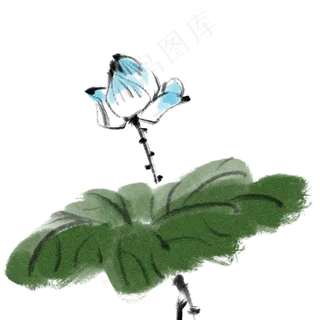 水墨中国风荷花