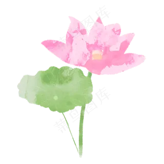夏日清新水彩荷花荷叶