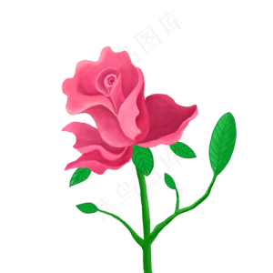 玫瑰花装饰图案