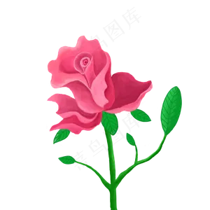玫瑰花装饰图案