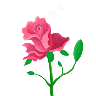 玫瑰花装饰图案