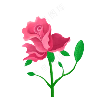 玫瑰花装饰图案