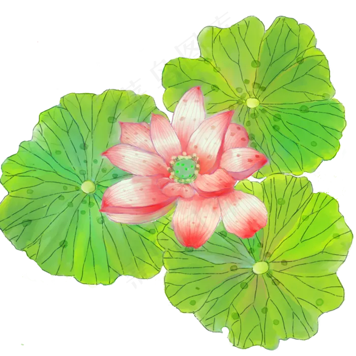 小暑大暑节气(2000X2000(DPI:300))psd模版下载