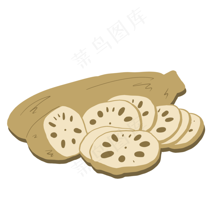 莲花莲藕果实根茎