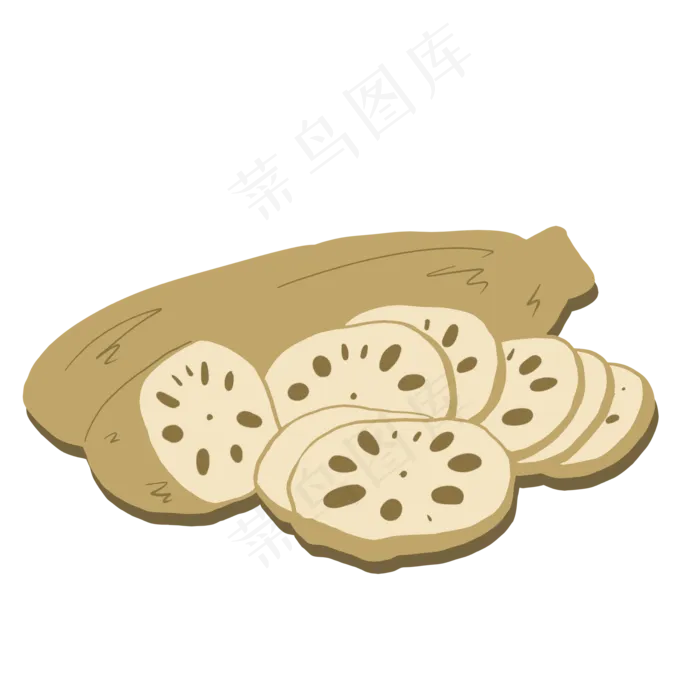 莲花莲藕果实根茎(2000X2000(DPI:300))psd模版下载
