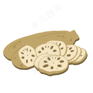 莲花莲藕果实根茎